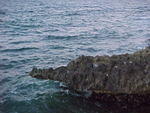 MVC_008F_011.jpg