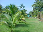 MVC_010F_015.jpg