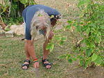 Mi Yard, Sat. Feb. 25th, 2006