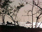MVC_011F_018.jpg