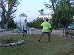 Mi Yard, Sat. Feb. 25th, 2006