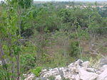 MVC_012F_005.jpg