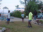 Mi Yard, Sat. Feb. 25th, 2006