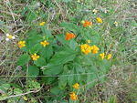 MVC_014F_004.jpg
