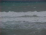 MVC_020F_005.jpg
