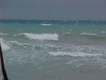 MVC_022F_004.jpg
