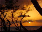 MVC_023F_004.jpg