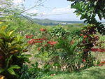 MVC_040F_002.jpg