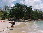 MVC_062F_001.jpg