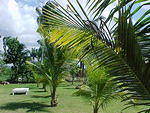 MVC_070F_001.jpg