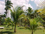 MVC_071F_001.jpg