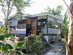 Sue's Half House 4 years on