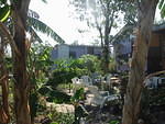 Quarter acre of land on Westland Mountain