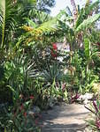 Pathways all around the garden