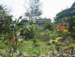 Looking down from the back of the land