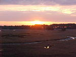 Mar. 8th. 2006 Chincoteague Island Virginia
