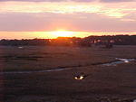 Mar. 8th. 2006 Chincoteague Island Virginia