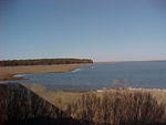 Sunday Mar. 5th, 2006 Chincotegue Island