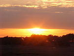 Mar. 8th. 2006 Chincoteague Island Virginia
