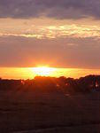 Mar. 8th. 2006 Chincoteague Island Virginia