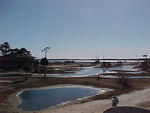 Sunday Mar. 5th, 2006 Chincotegue Island