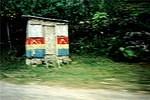 Likkle shack roadside
