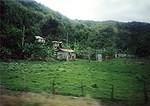 Roadside scenery