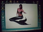 Mi Yard 2007/2008