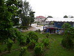 Mi Yard 2007