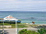 Blondie on the Mi Yard Beach