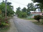 tigress lane 2
