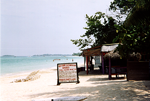 Red Stripe Cruises & The Boat Bar