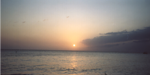 Sunset @ Rondel Village